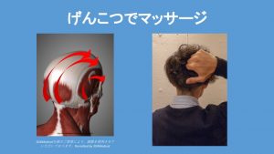 massage knuckle